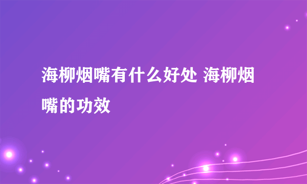 海柳烟嘴有什么好处 海柳烟嘴的功效