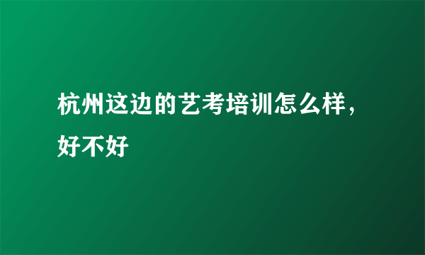 杭州这边的艺考培训怎么样，好不好