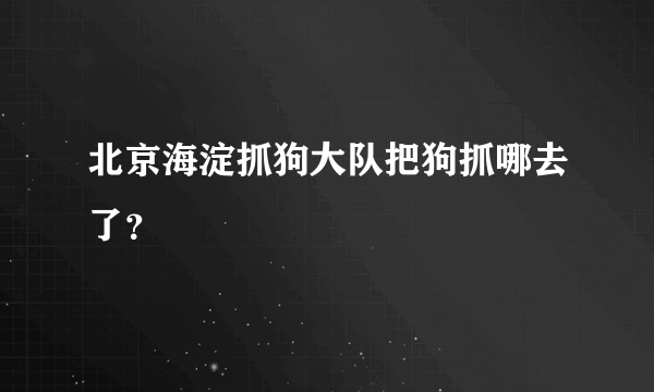 北京海淀抓狗大队把狗抓哪去了？