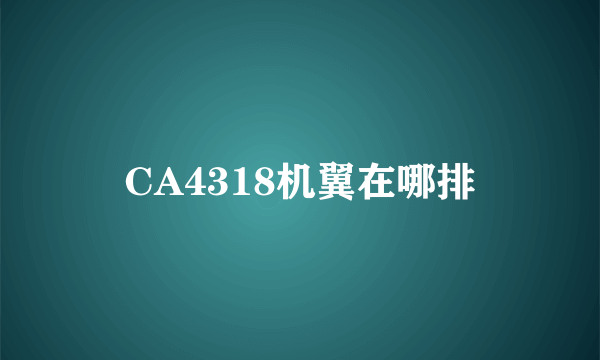 CA4318机翼在哪排