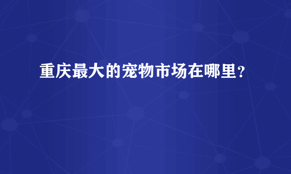 重庆最大的宠物市场在哪里？