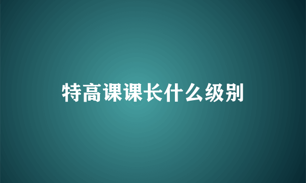 特高课课长什么级别