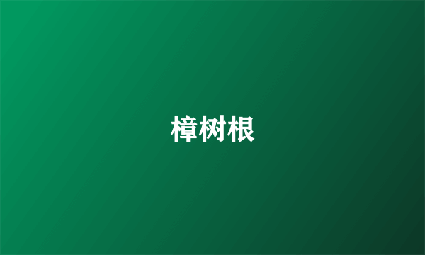 樟树根