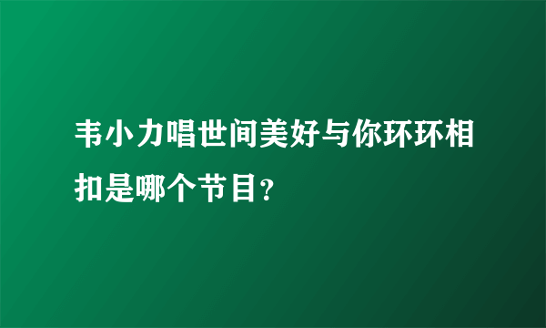 韦小力唱世间美好与你环环相扣是哪个节目？