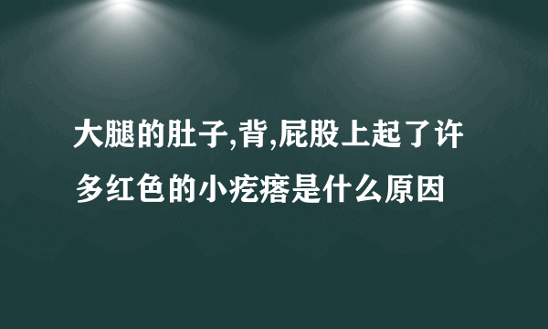 大腿的肚子,背,屁股上起了许多红色的小疙瘩是什么原因