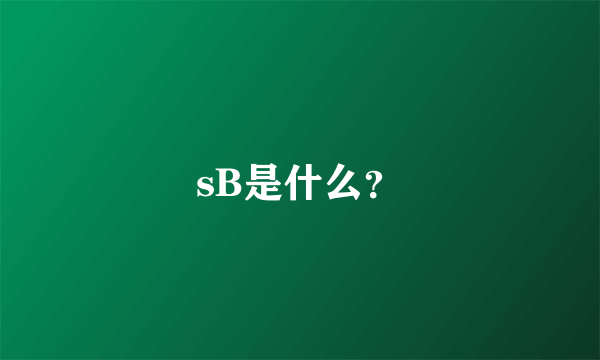 sB是什么？