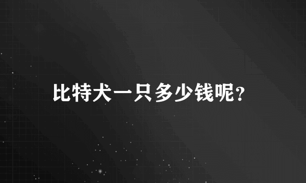 比特犬一只多少钱呢？