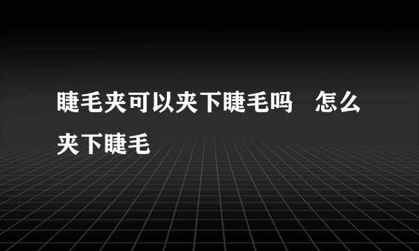 睫毛夹可以夹下睫毛吗   怎么夹下睫毛