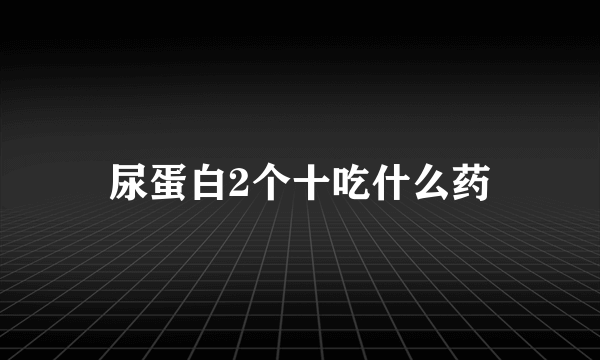 尿蛋白2个十吃什么药