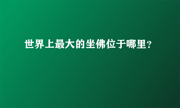 世界上最大的坐佛位于哪里？