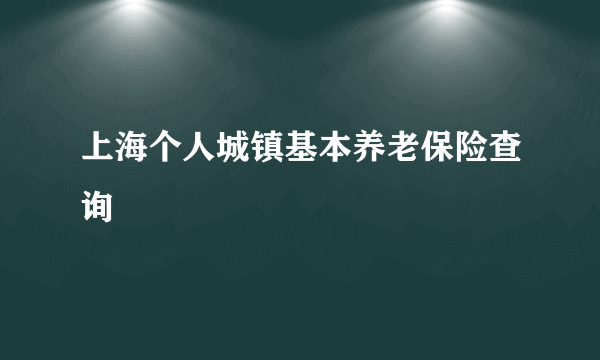 上海个人城镇基本养老保险查询