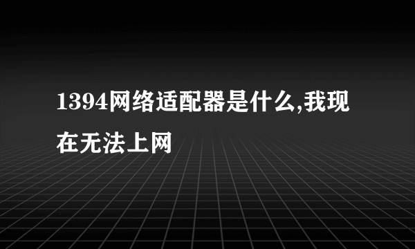 1394网络适配器是什么,我现在无法上网