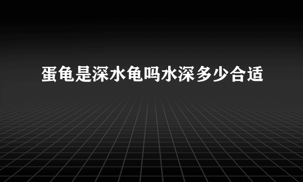 蛋龟是深水龟吗水深多少合适