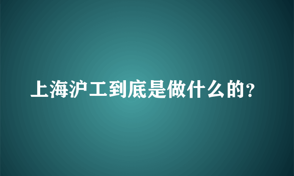 上海沪工到底是做什么的？