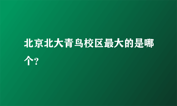 北京北大青鸟校区最大的是哪个？