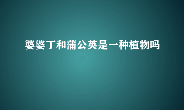 婆婆丁和蒲公英是一种植物吗