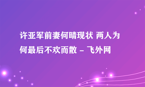 许亚军前妻何晴现状 两人为何最后不欢而散 - 飞外网