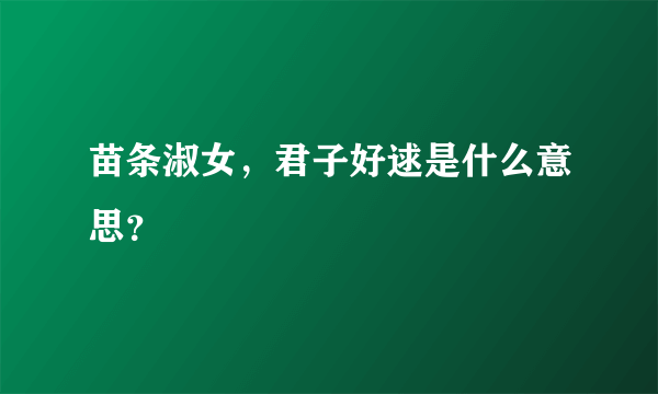 苗条淑女，君子好逑是什么意思？