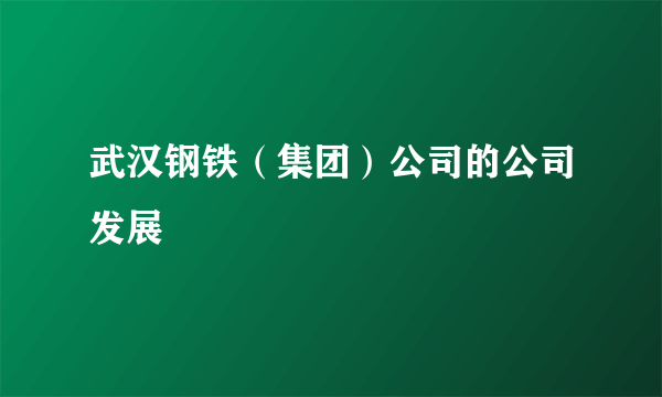 武汉钢铁（集团）公司的公司发展