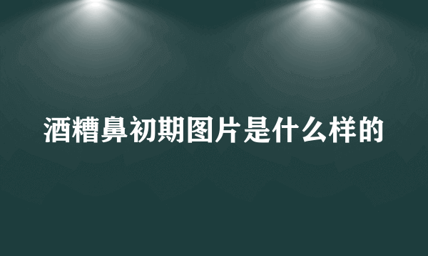 酒糟鼻初期图片是什么样的