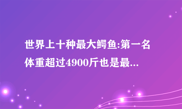 世界上十种最大鳄鱼:第一名体重超过4900斤也是最凶猛的鳄鱼