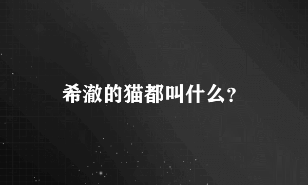 希澈的猫都叫什么？