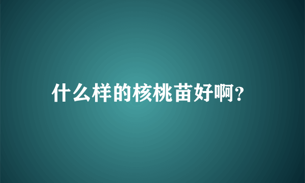 什么样的核桃苗好啊？