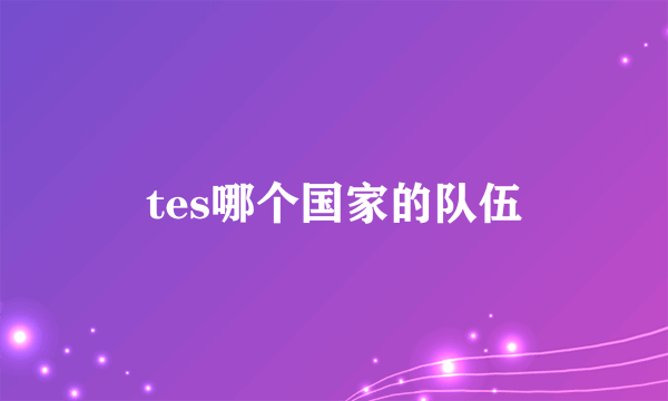 tes哪个国家的队伍