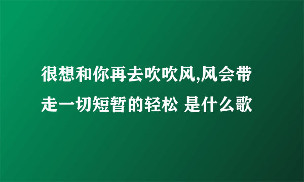 很想和你再去吹吹风,风会带走一切短暂的轻松 是什么歌