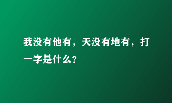 我没有他有，天没有地有，打一字是什么？