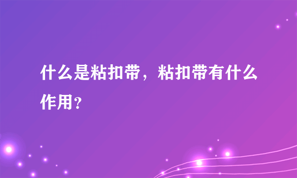 什么是粘扣带，粘扣带有什么作用？