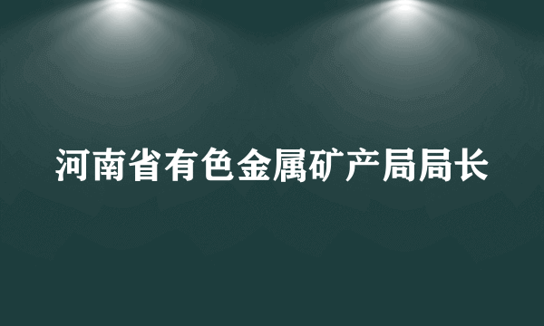 河南省有色金属矿产局局长