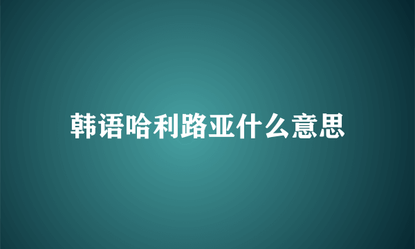 韩语哈利路亚什么意思