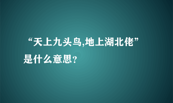 “天上九头鸟,地上湖北佬”是什么意思？