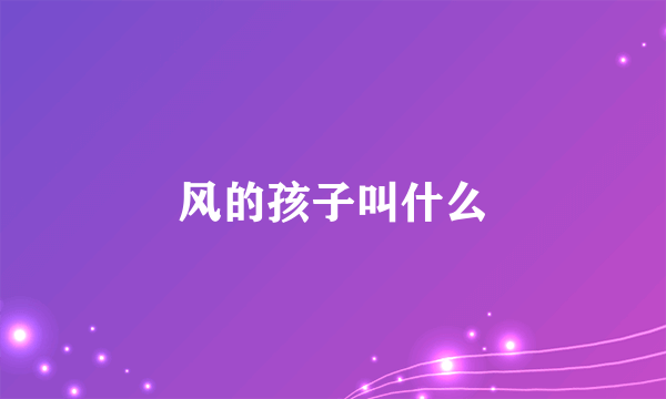 风的孩子叫什么