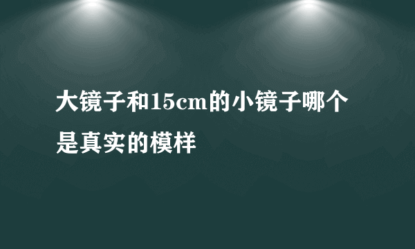 大镜子和15cm的小镜子哪个是真实的模样