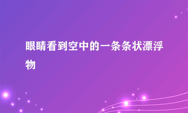 眼睛看到空中的一条条状漂浮物