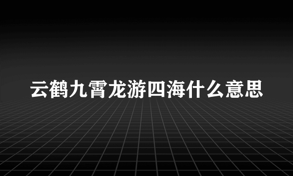 云鹤九霄龙游四海什么意思