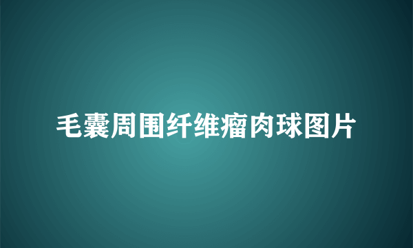 毛囊周围纤维瘤肉球图片