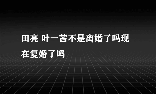 田亮 叶一茜不是离婚了吗现在复婚了吗