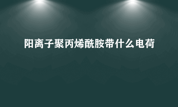 阳离子聚丙烯酰胺带什么电荷