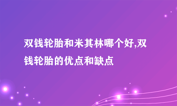 双钱轮胎和米其林哪个好,双钱轮胎的优点和缺点