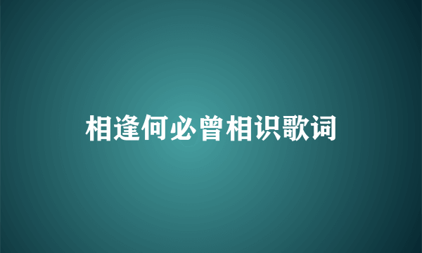 相逢何必曾相识歌词