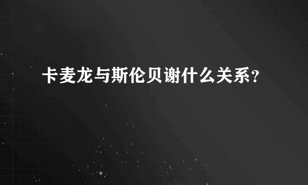 卡麦龙与斯伦贝谢什么关系？