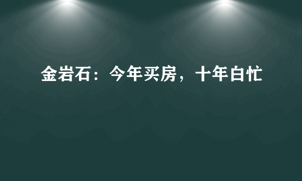 金岩石：今年买房，十年白忙