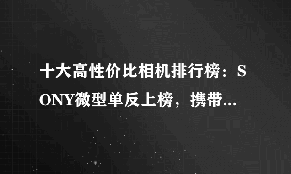 十大高性价比相机排行榜：SONY微型单反上榜，携带十分方便