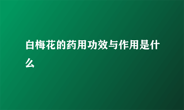 白梅花的药用功效与作用是什么