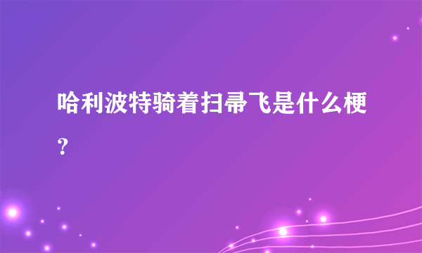 哈利波特骑着扫帚飞是什么梗？