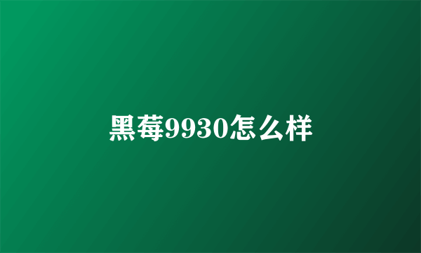 黑莓9930怎么样