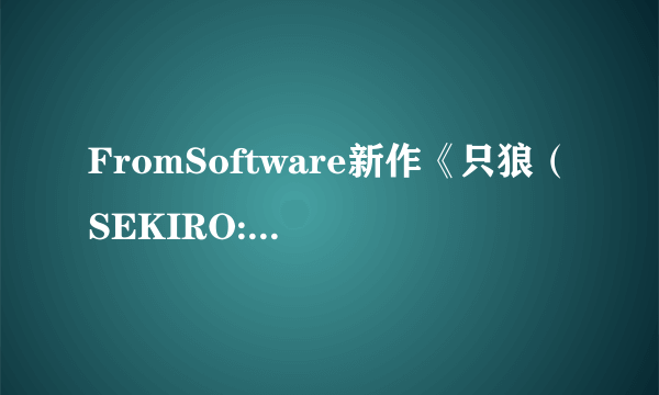 FromSoftware新作《只狼（SEKIRO: SHADOWS DIE TWICE）》PC版首发简体中文同步 方块游戏亚太发行